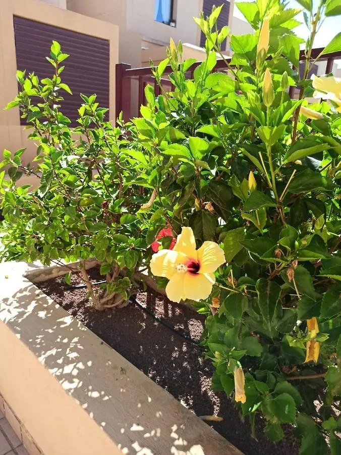 Appartamento Bahia Sol Dream -Caleta De Fuste-